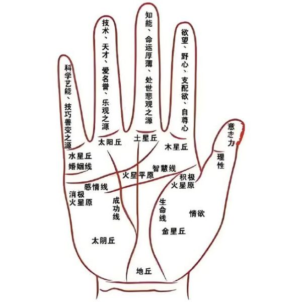 看手纹知命运财运_手相怎么看财运线