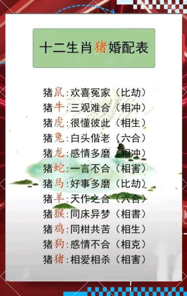 属马和属猪的婚姻相配吗_属马与属猪合不合