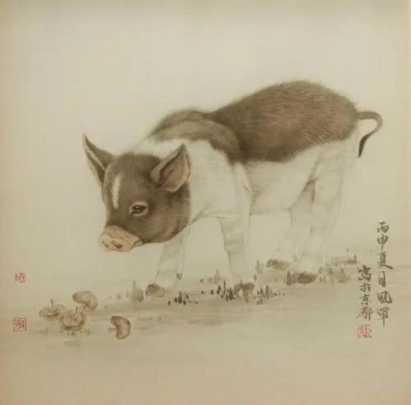 最懒的属相是什么_属猪的人真的懒吗