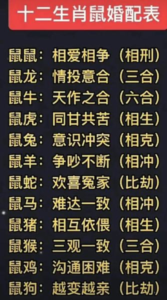 男鼠婚配属相_属鼠男最佳配偶