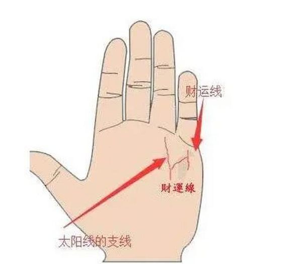 手相财运线怎么看_手相财运线在哪