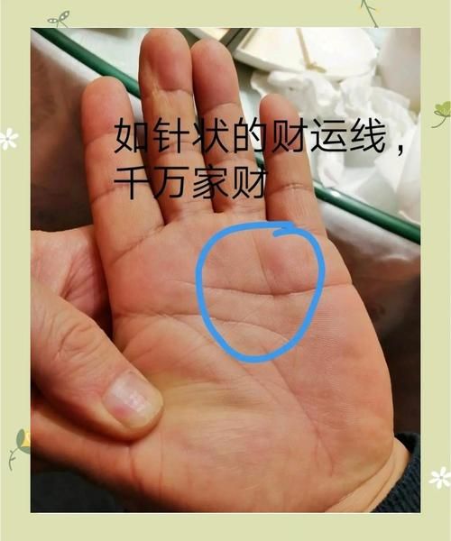财运线中年怎么看_中年财运线分叉代表什么