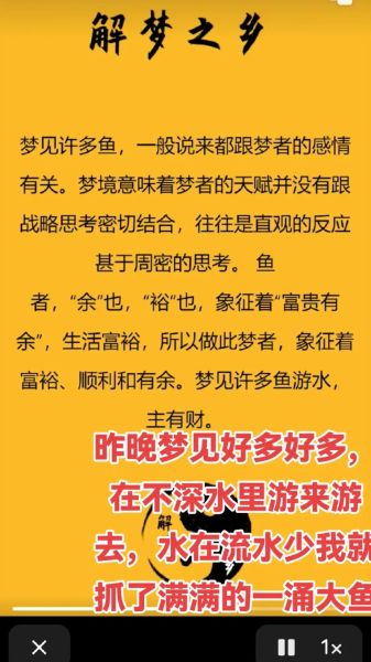 梦到捕鱼好多鱼是什么意思_梦见鱼群财运好吗