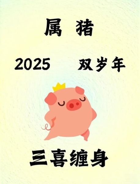 属猪的人财运如何_属猪2024年财运方位