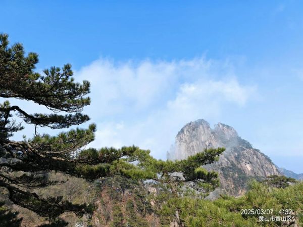 梦到登上山顶是什么意思_梦到登上山顶预示什么