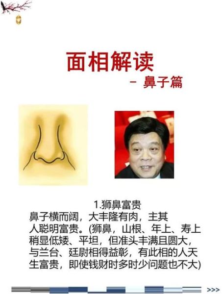 鼻子看财运准吗_鼻子财运图解