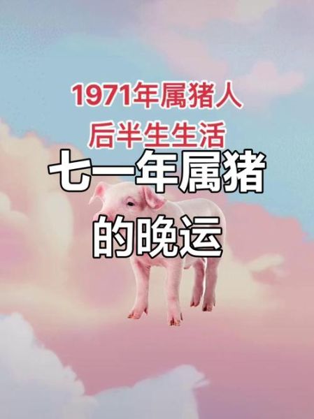属猪人七月运势如何_属猪七月财运好吗