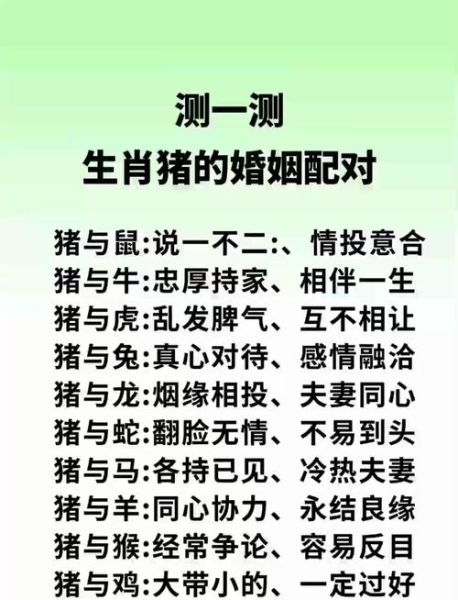 属猪男跟什么属相最配_属猪男最佳婚配属相