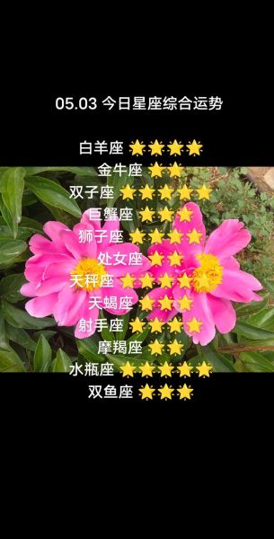白羊座女今日运势最准_白羊座女今天运势如何