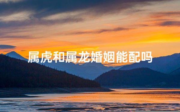 属龙和属虎的合不合_龙与虎婚姻配对如何
