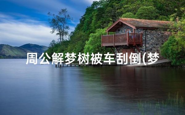 孕妇梦到树是什么意思_孕妇梦见树生男生女
