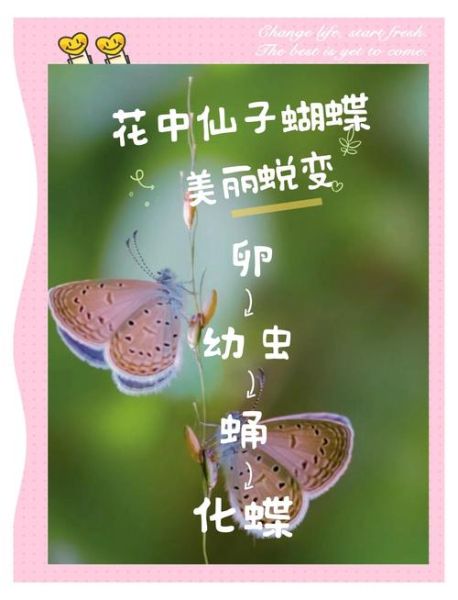 梦到毛毛虫是什么意思_如何化解