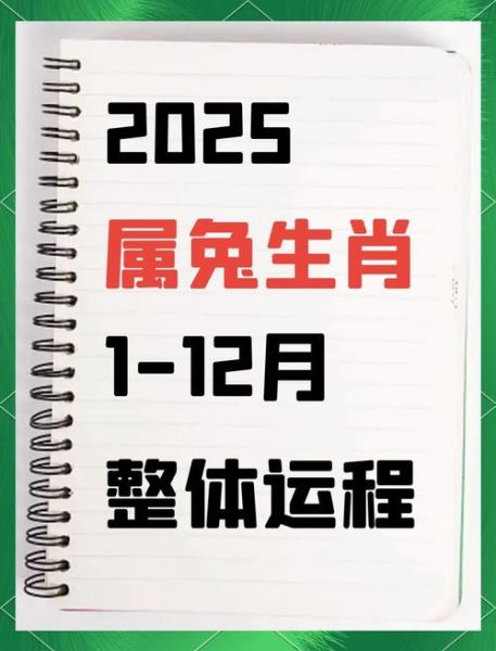 属兔今日运势查询_属兔今日财运如何