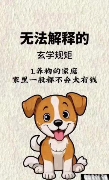 狗害太岁财运_如何化解