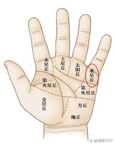 财运线弧形怎么看_手相弧形财运线含义