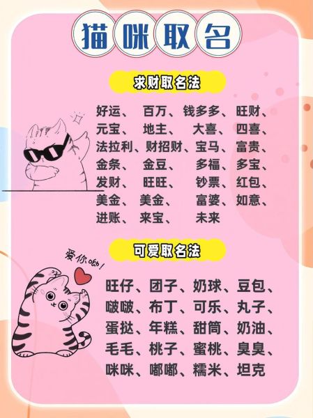 猫咪财运名字怎么取_招财猫名字大全
