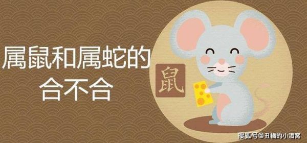 属鼠和属蛇的婚姻怎么样_属鼠和属蛇的婚配好吗