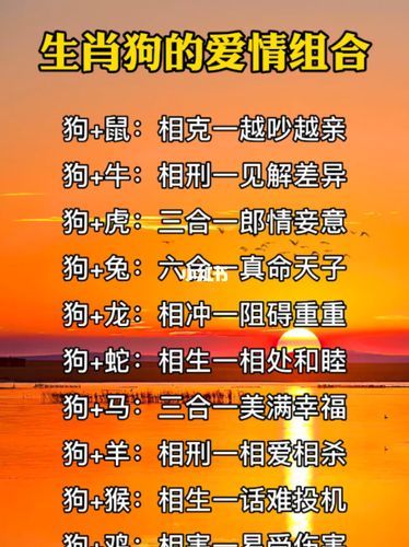 狗与什么属相婚配最好_属狗最佳婚配属相