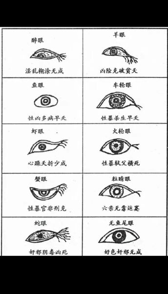 逆凤眼财运面相_如何看逆凤眼招财吗
