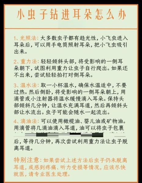 梦到耳朵进虫子_梦见耳朵有虫子怎么办