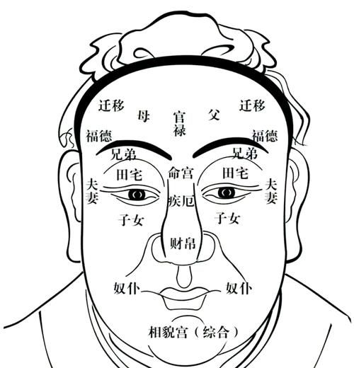 男人什么眉毛有财运_男人眉毛看财运图解