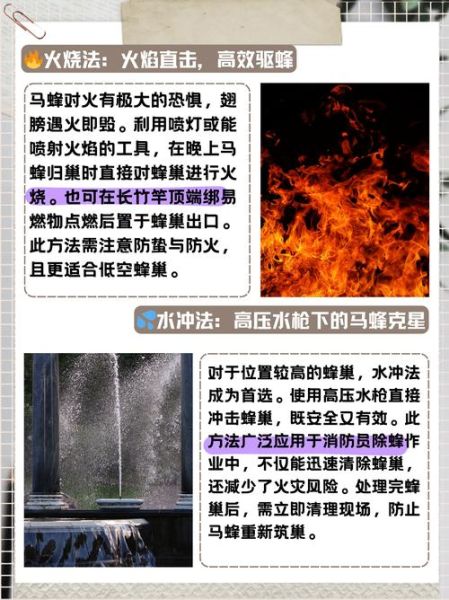 梦到马蜂窝预示着什么_梦见马蜂窝被捅破