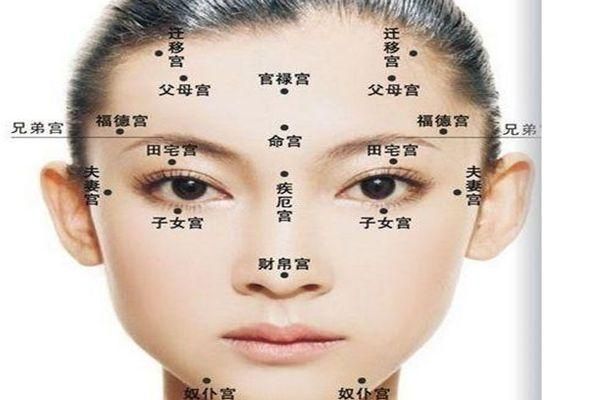 脸瘦的人有财运吗_脸瘦面相与财富关系