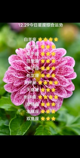 白羊座今日财运如何_白羊座今日偏财运好吗