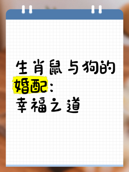 属狗和属鼠的合不合_属狗属鼠婚姻如何