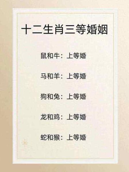 鼠和鸡属相合不合_婚姻配对好吗