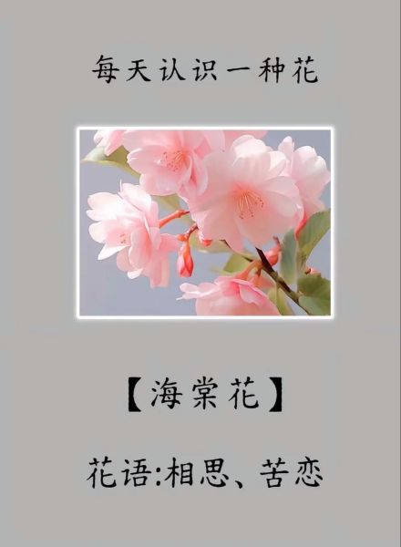 梦到花是什么意思_梦见花代表什么