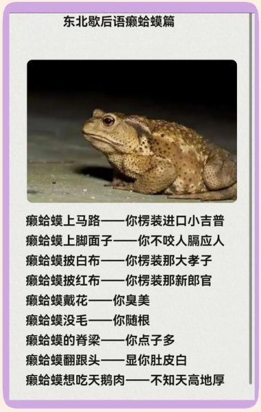 梦到蛤蟆往身上跳_是什么预兆