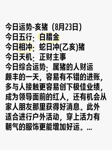 2016年属猪人运势详解_属猪2016年财运如何