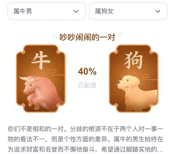 新娘属狗什么属相相冲_属狗婚配禁忌