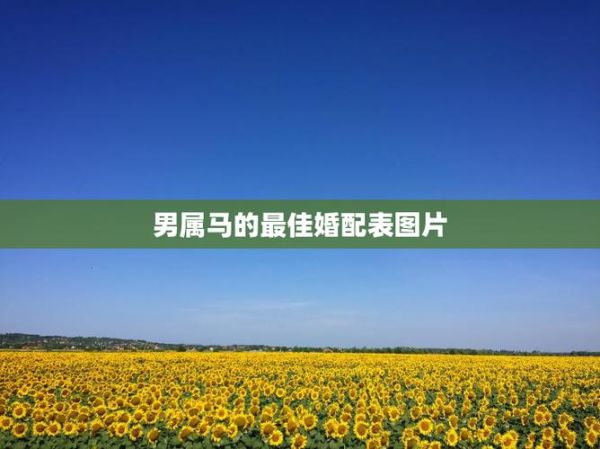 男马婚配属相最好_男马和什么属相最配