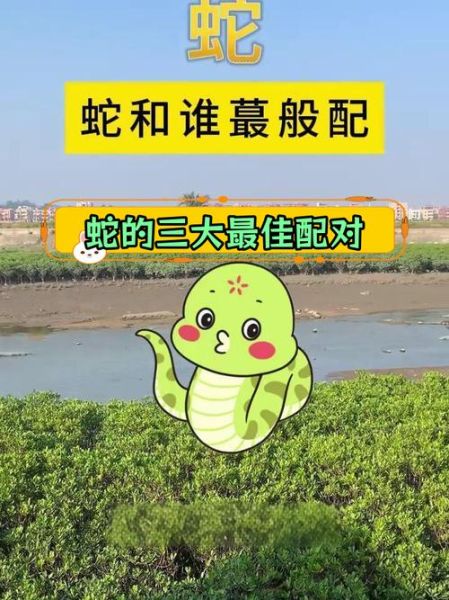 属蛇婚姻属相配对查询_属蛇和什么属相最配