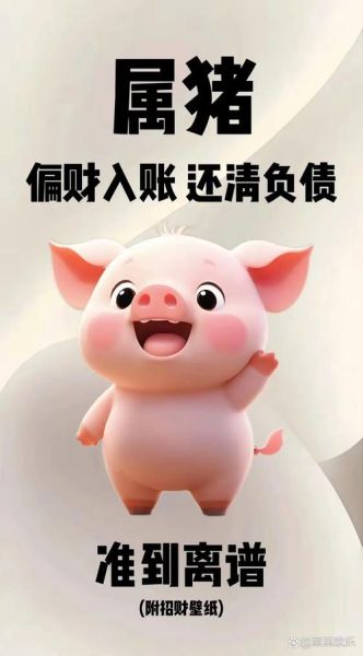 属猪财运2017如何_属猪2017年财运旺吗