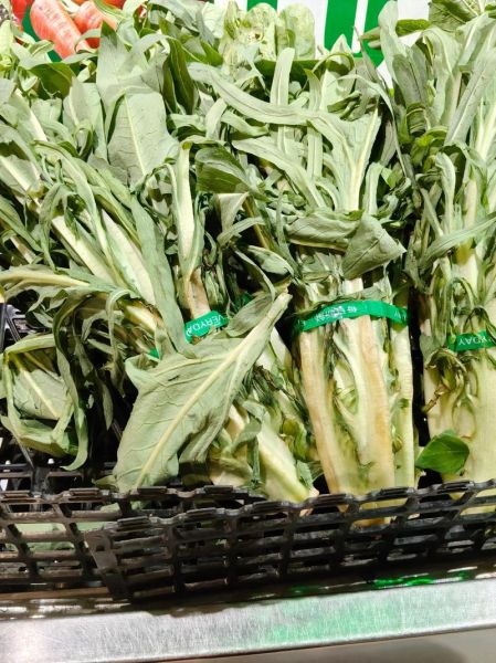 梦到抱菜是什么意思_梦到抱菜预示什么