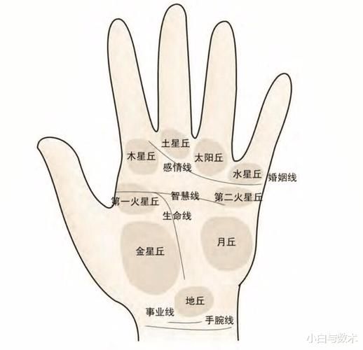 财运不好掌纹怎么看_如何转运改运
