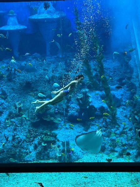 梦到海洋馆是什么意思_海洋馆梦境解析