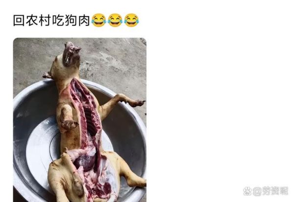 梦到狗偷吃肉_是什么意思