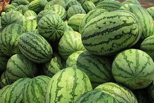 孕妇梦见切西瓜不熟_预示着什么