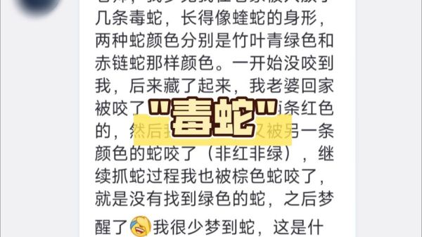 梦到被毒蛇咬到手是什么意思_梦见蛇咬手预示什么