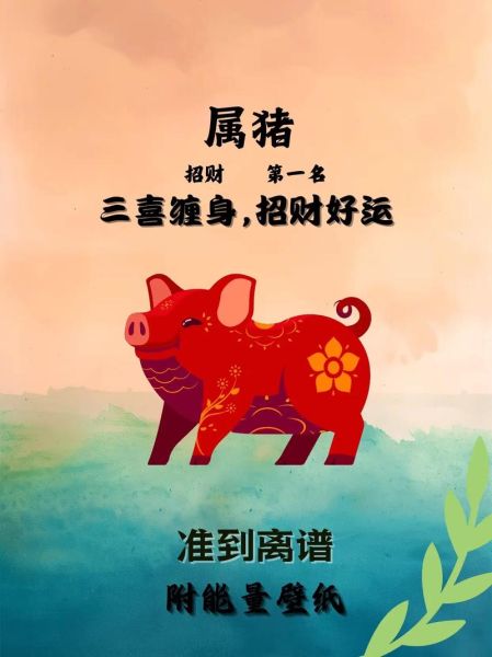 属猪今年财运如何_属猪人2024年旺财秘诀