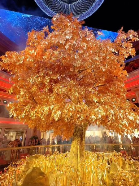 黄金树财运是什么_黄金树摆放禁忌有哪些