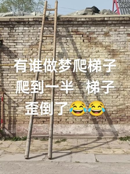 梦到扶梯子是什么意思_梦见扶梯子预示什么