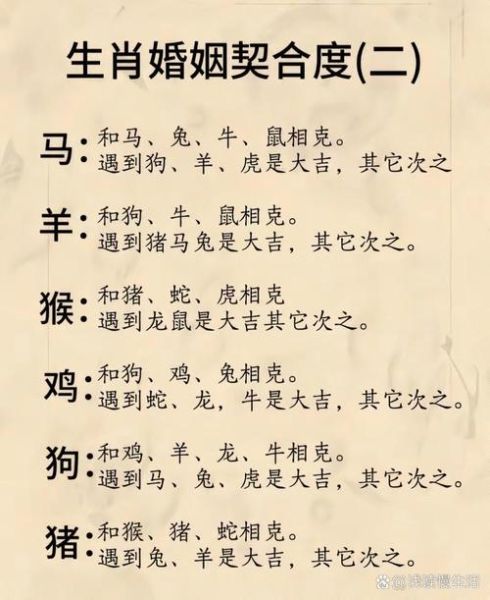 属鼠的女生配什么属相最好_属鼠女和什么生肖最合