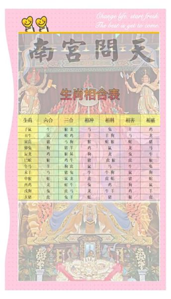 属相配对真的靠谱吗_为什么属相不合也幸福