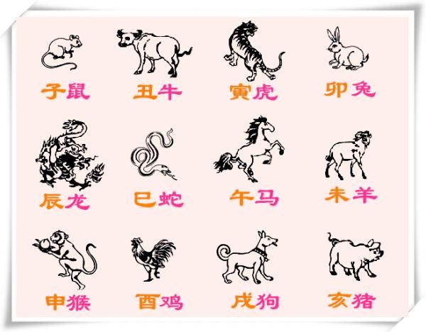 立春决定属相吗_生肖到底从哪天算