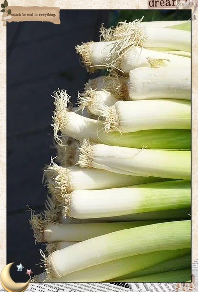 梦见大葱是什么意思_做梦梦到大葱预示什么
